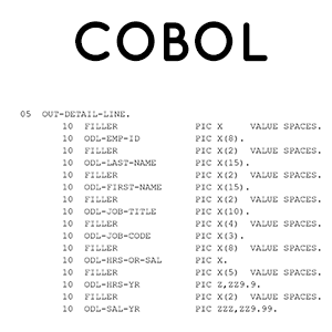 COBOL Programming